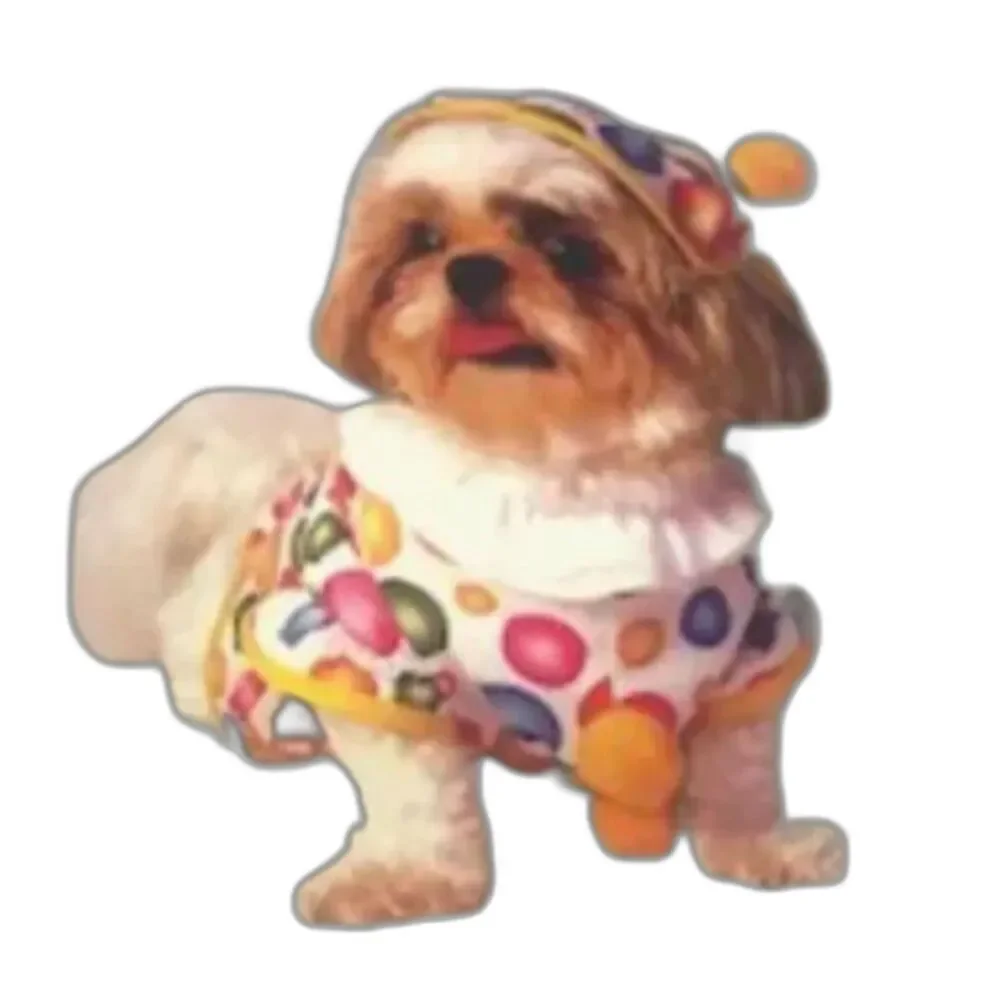 Casual Canine ** doggie